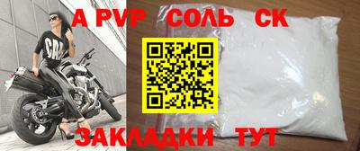 бошки Кингисепп