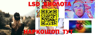 бошки Кингисепп