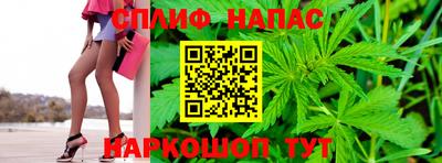 бошки Кингисепп