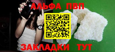 бошки Кингисепп