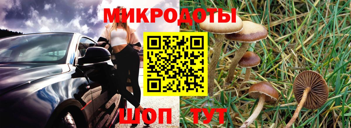 Псилоцибиновые грибы мухоморы  Вход с VPN  купить наркотик  Канск 